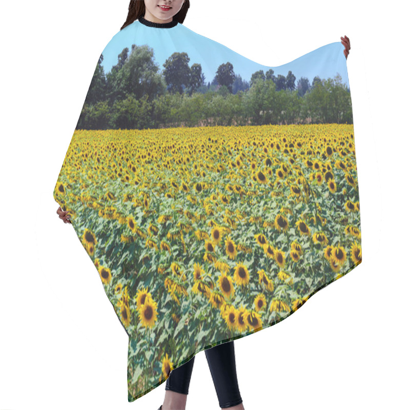 Personality  Sunflowers Field Hair Cutting Cape