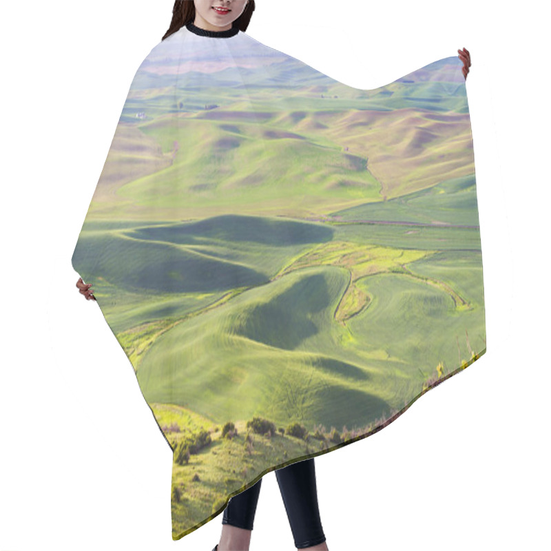 Personality  Rolling Hills With Wheat Fields In Morning Hours At Palouse, Washington State, USA Hair Cutting Cape