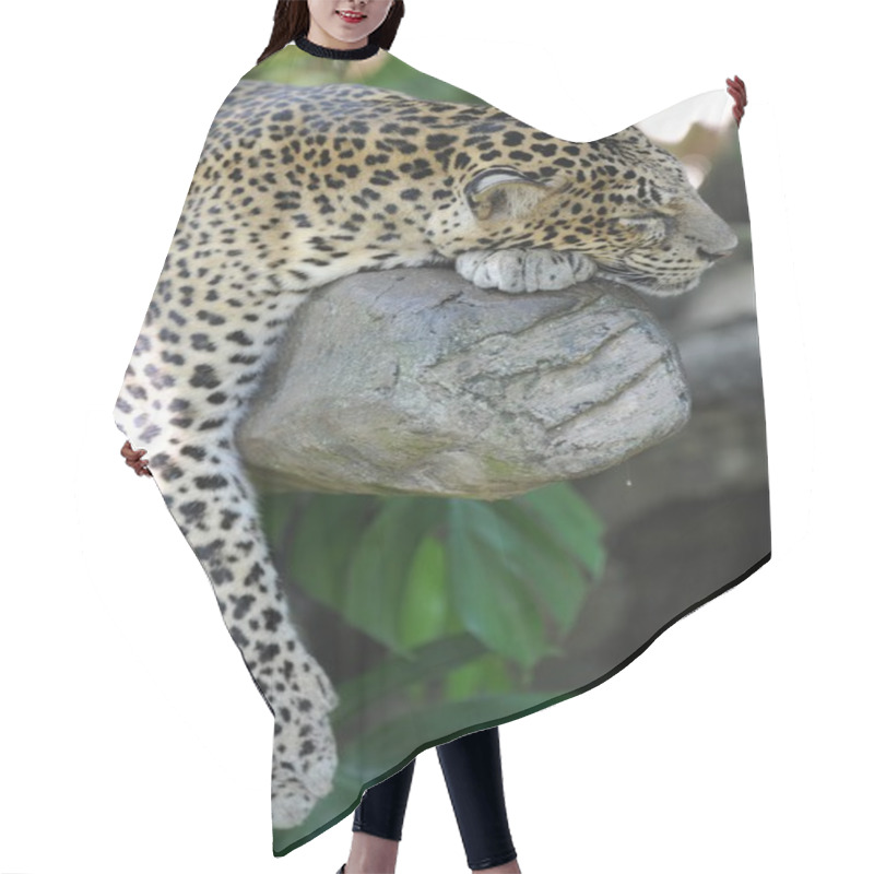 Personality  Leopard Hair Cutting Cape