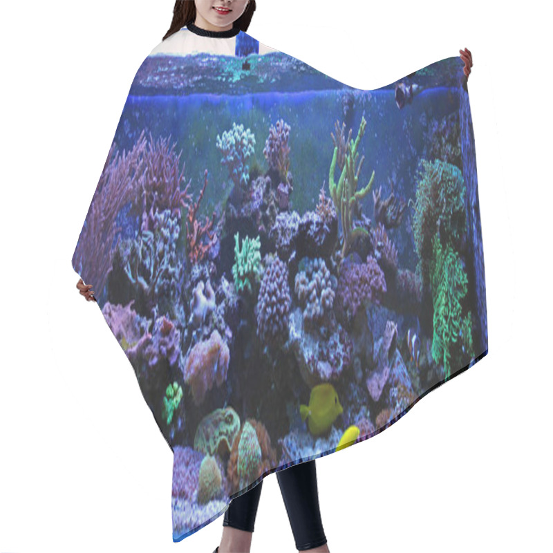 Personality  Coral Reef Aquarium Tank Hair Cutting Cape