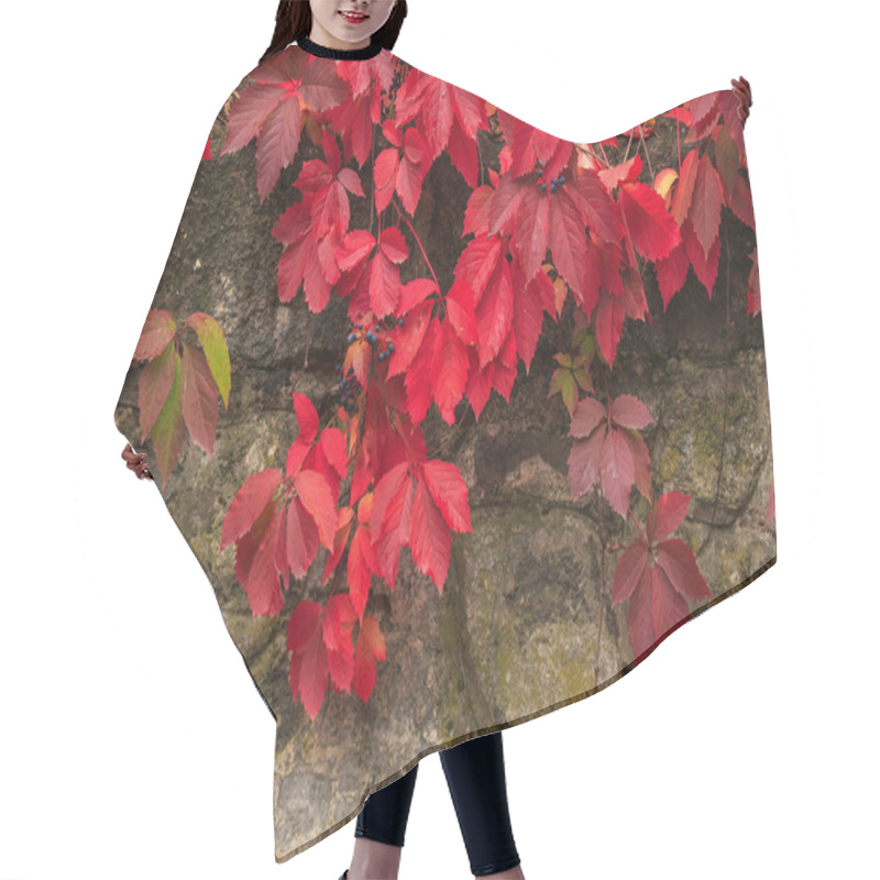 Personality  Plant With Red Leaves On Stone Wall Hair Cutting Cape