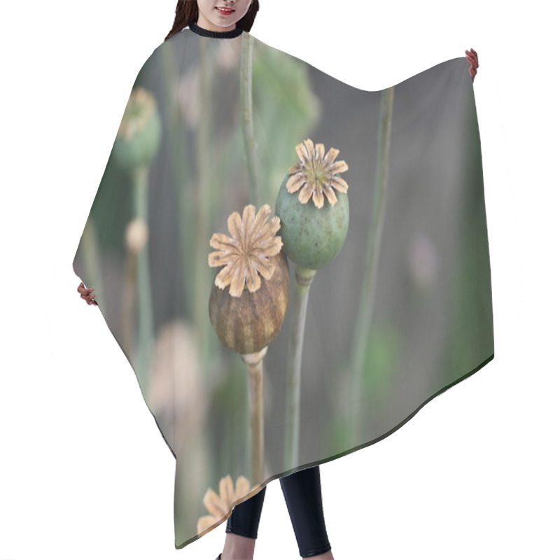 Personality  Couple Of Poppy Plant Hair Cutting Cape