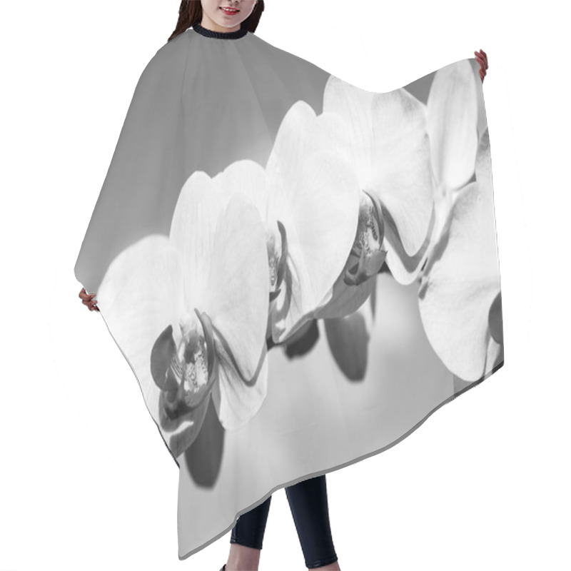 Personality  Orchid Flower Yellow On Blue Sky Background Hair Cutting Cape