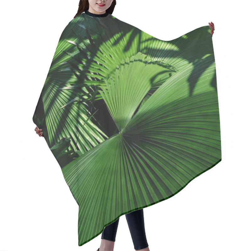 Personality  Jungle Plant Tropical Palm Leaves, Stripes From Nature. Hair Cutting Cape