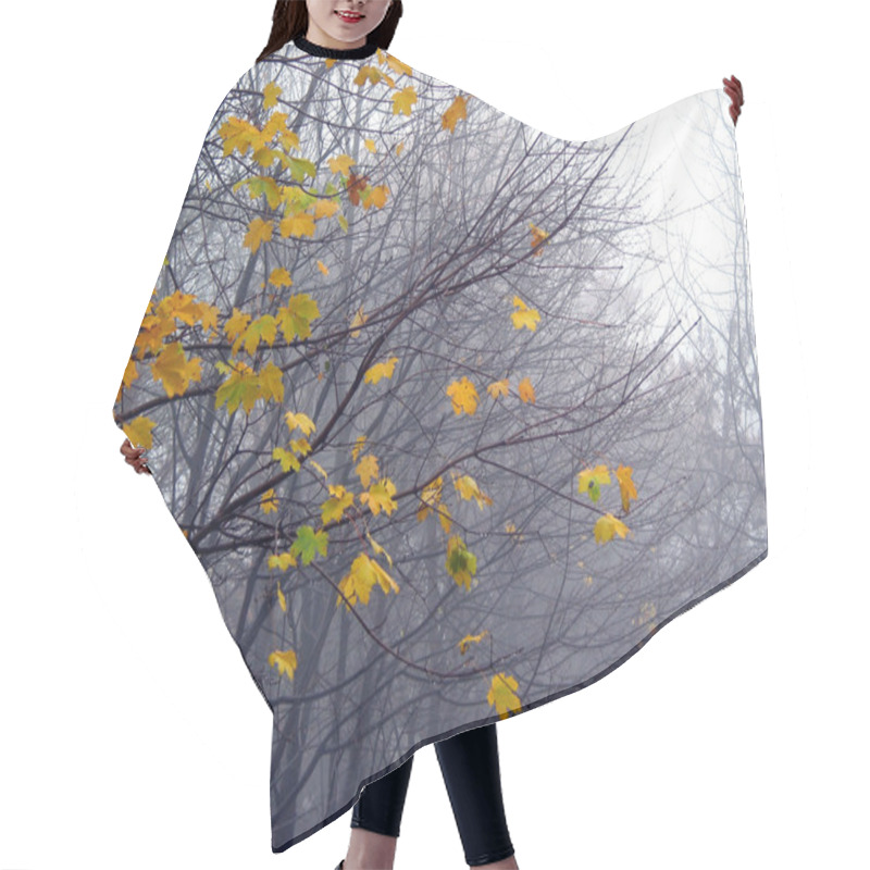 Personality  Last Maple Leaves In The Fog Hair Cutting Cape