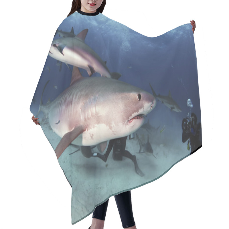 Personality  Tiger Shark Hair Cutting Cape