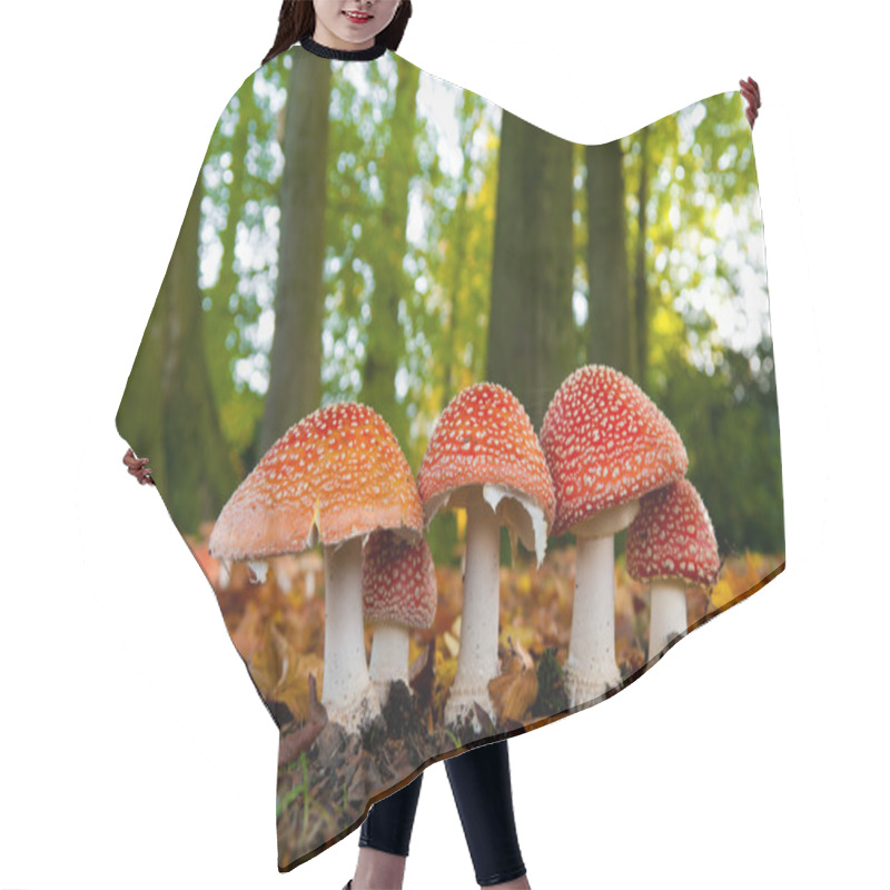 Personality  Mushrooms In Forest Hair Cutting Cape