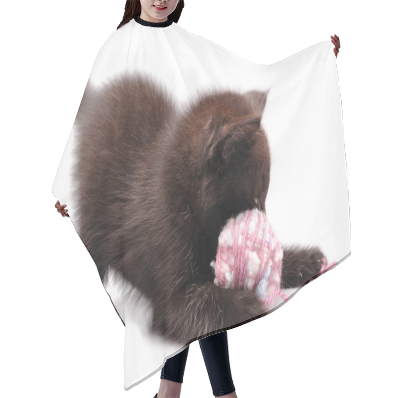 Personality  Kitten Playing With A Wool Ball Hair Cutting Cape