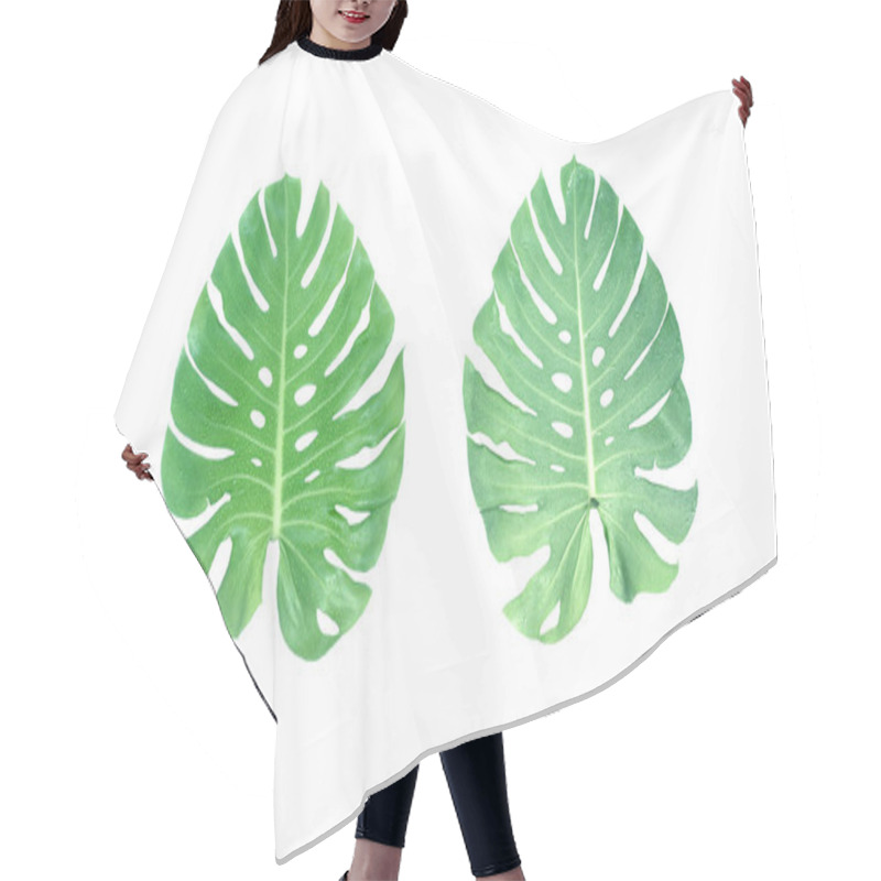 Personality  Monstera Leaves With Drop Of Water Isolated On White Background With Clipping Path Hair Cutting Cape