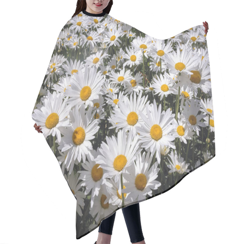 Personality  Shasta Daisies Flowers Hair Cutting Cape