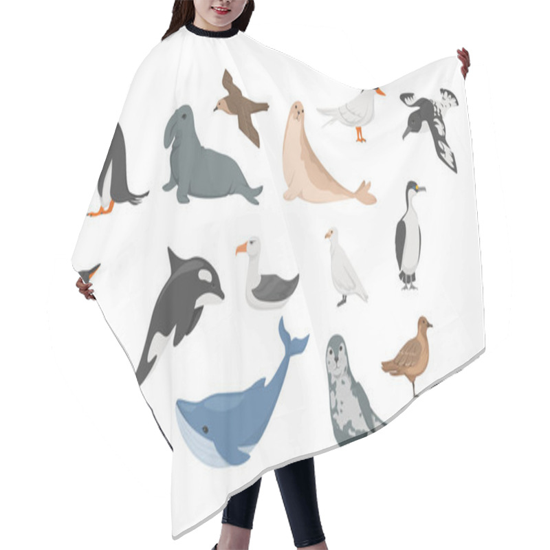 Personality  Antarctica Flora Seal, Petrel, Penguins, Albatross, Blue Whale, Sea Leopard, Cape Dove, White Plover, Antarctic Tern Blue-eyed Cormorant Vector Illustration Hair Cutting Cape