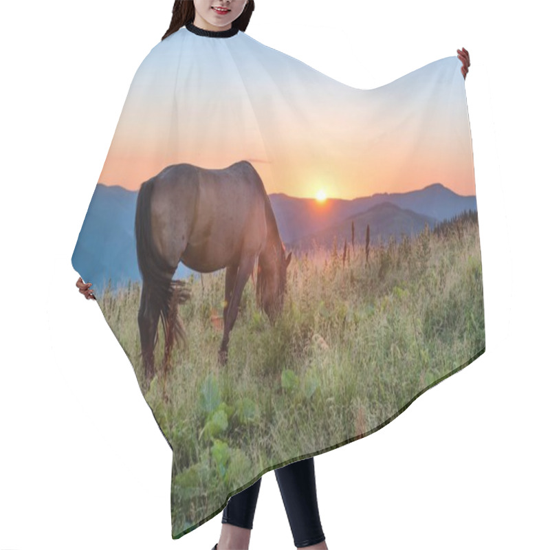 Personality  Brown Horse Grazing  Hair Cutting Cape