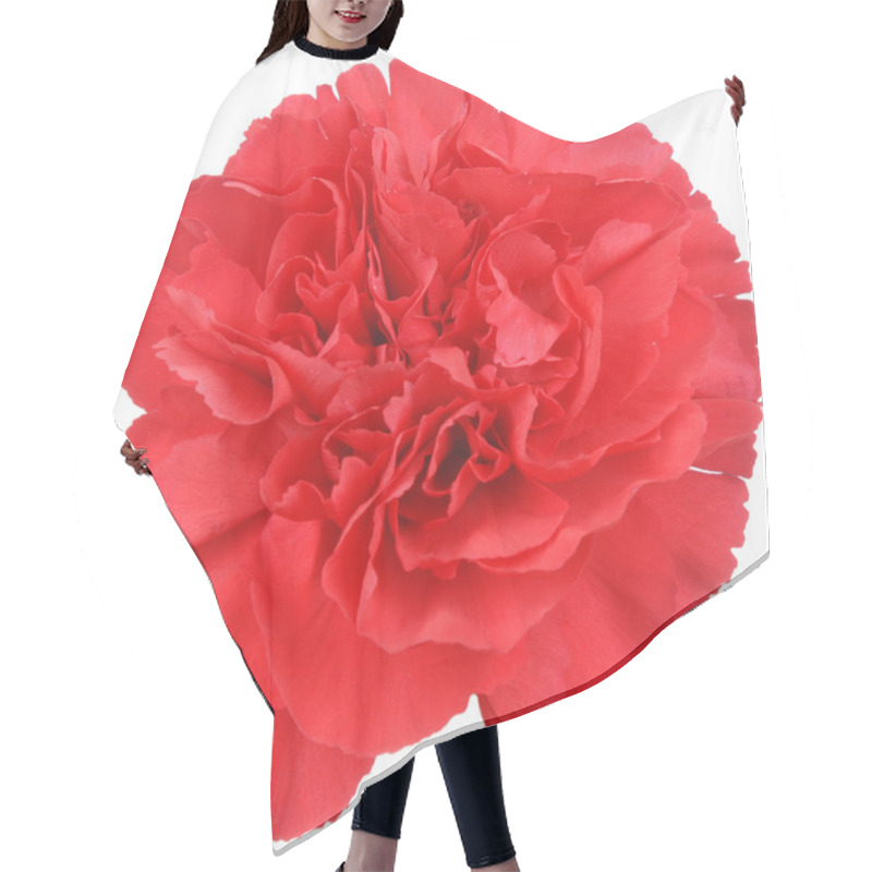 Personality  Red Carnation Flower On White Hair Cutting Cape