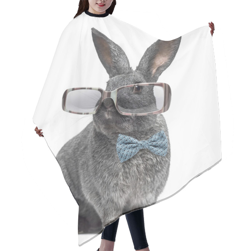 Personality  Argente Rabbit Wearing Glasses And Bow Tie Isolated On White Hair Cutting Cape