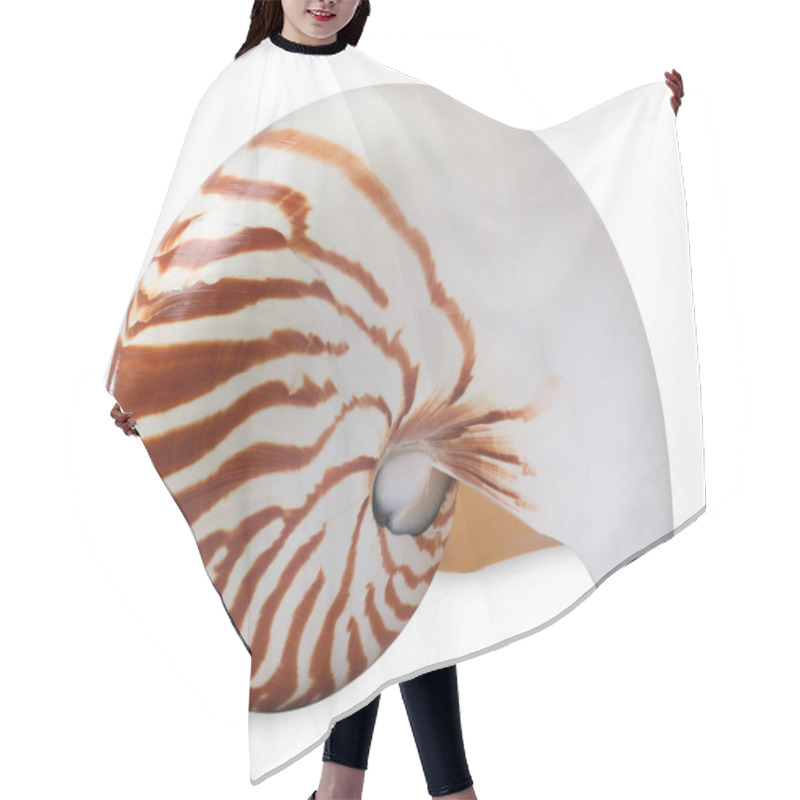 Personality  One Beautiful Nautilus Shell Isolated On White Hair Cutting Cape