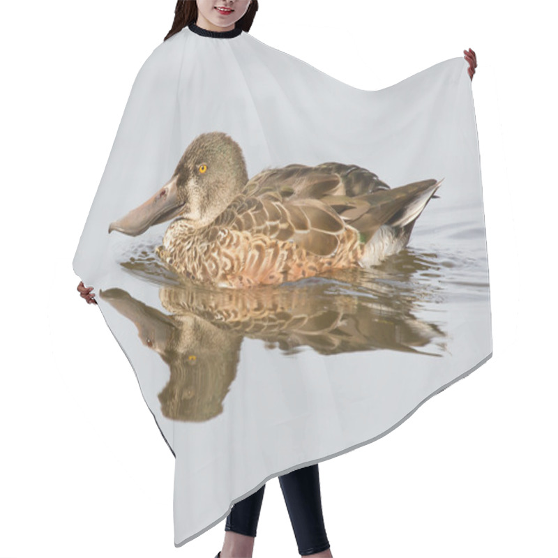 Personality  A Northern Shoveler Hair Cutting Cape