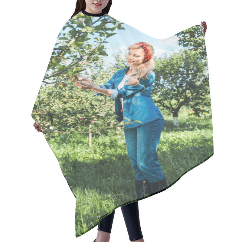 Personality  Beautiful Farmer Checking Ripe Apple On Tree In Garden Hair Cutting Cape