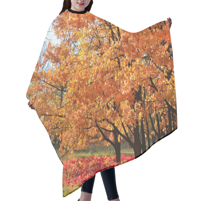 Personality  Fall In A Park Hair Cutting Cape