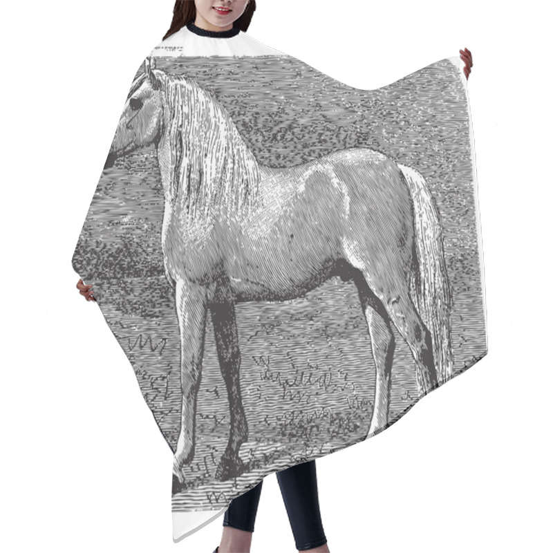 Personality  Horse Hair Cutting Cape