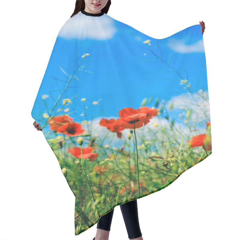 Personality  Red Poppies In The Summer Field Hair Cutting Cape