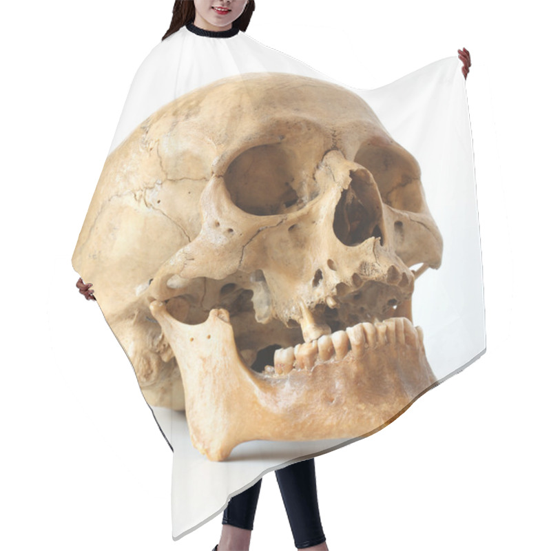 Personality  Human Skull. Hair Cutting Cape