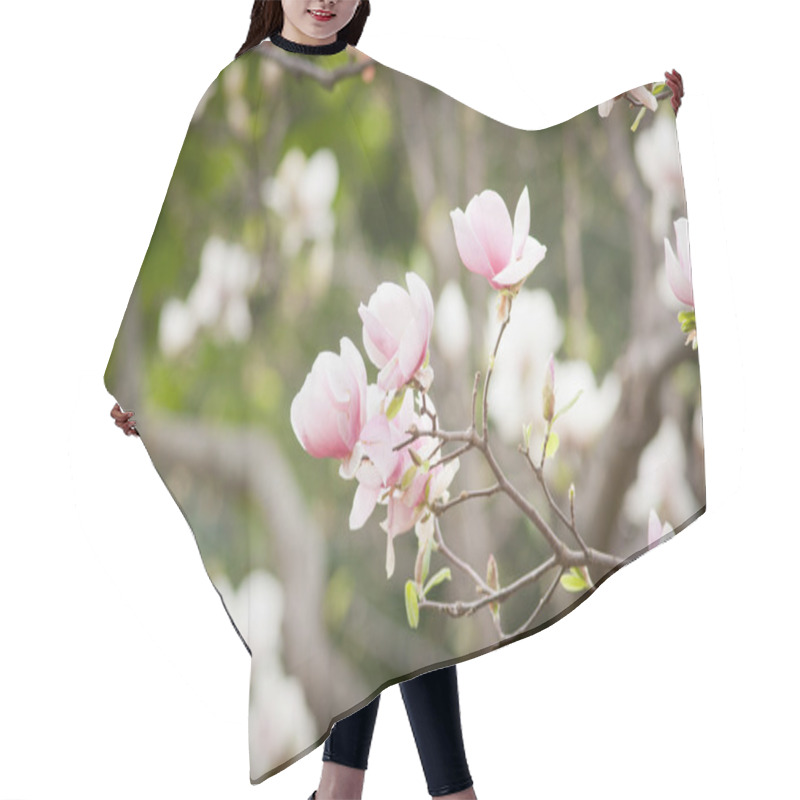 Personality  Blossoming Of Magnolia Flowers Hair Cutting Cape