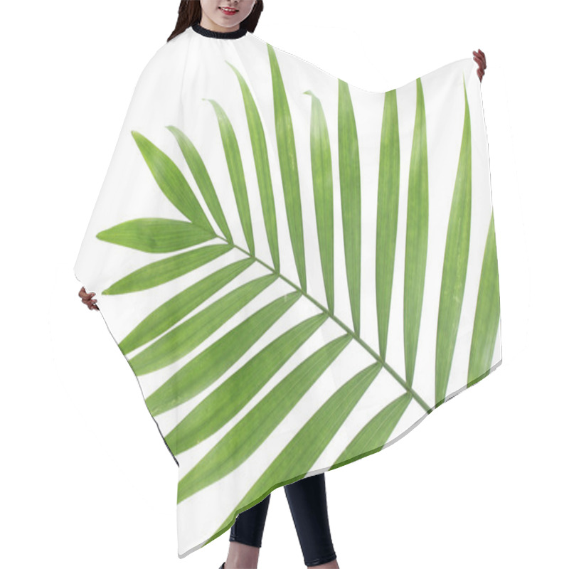 Personality  Beautiful Green Palm Leaf Isolated On White Hair Cutting Cape