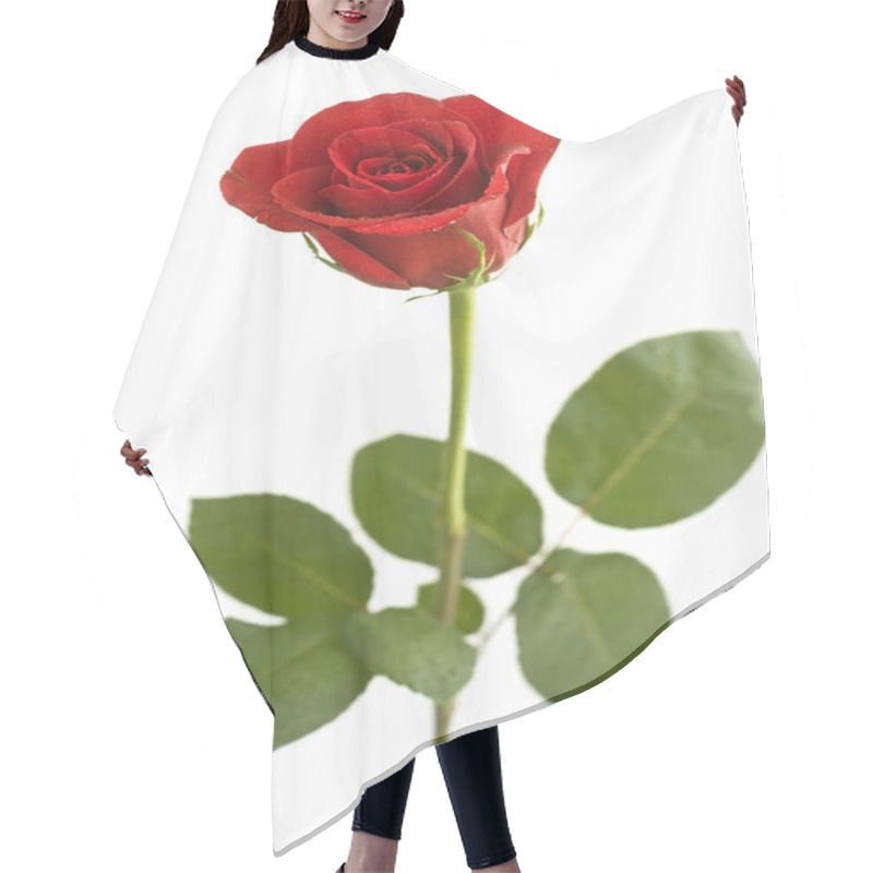 Personality  Beautiful Red Rose Hair Cutting Cape