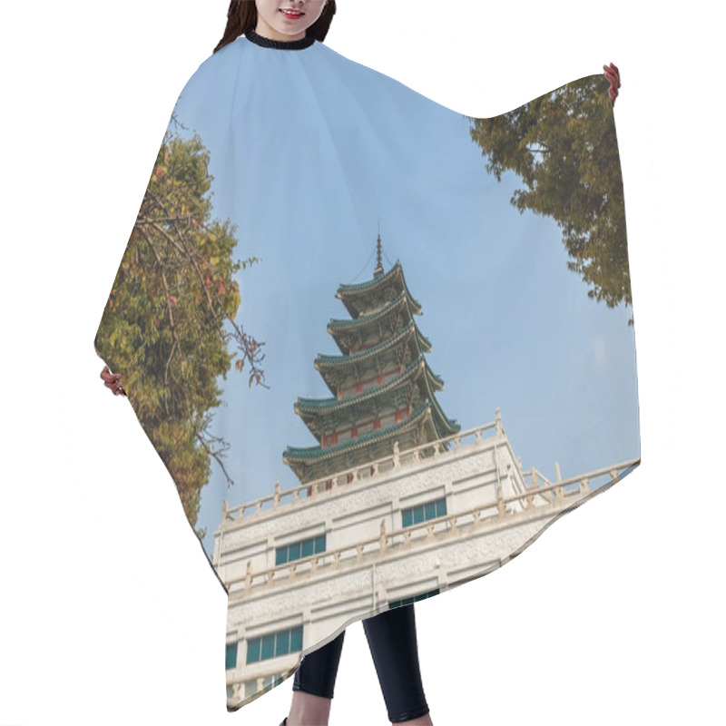 Personality  Pagoda Building Of The National Folk Museum Of Korea In Seoul South Korea Hair Cutting Cape