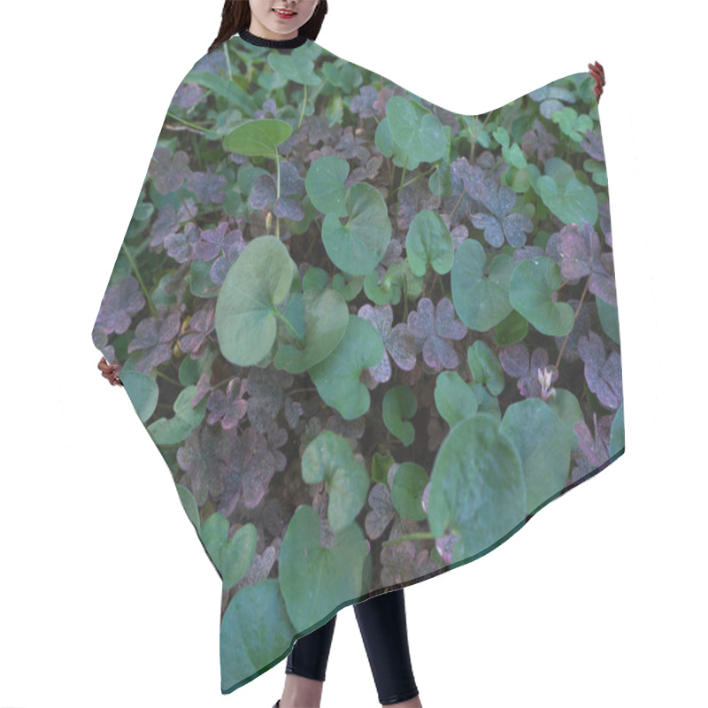 Personality  Lawn Background Full Of Pink Clover And Dichondra Leaves Hair Cutting Cape