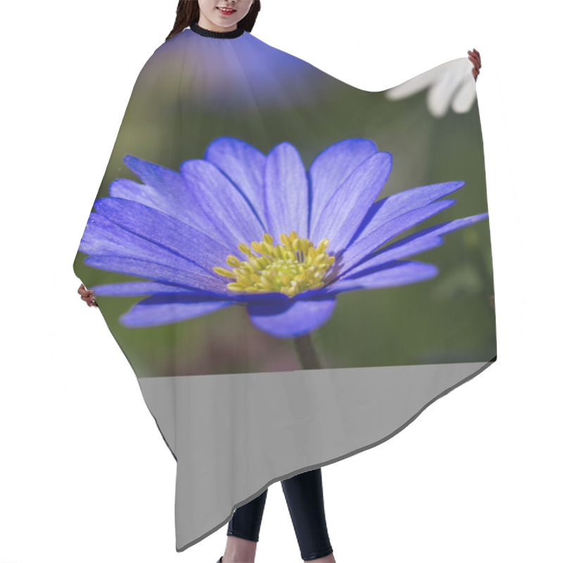 Personality  Beautiful Blue Anemone Blanda Hair Cutting Cape