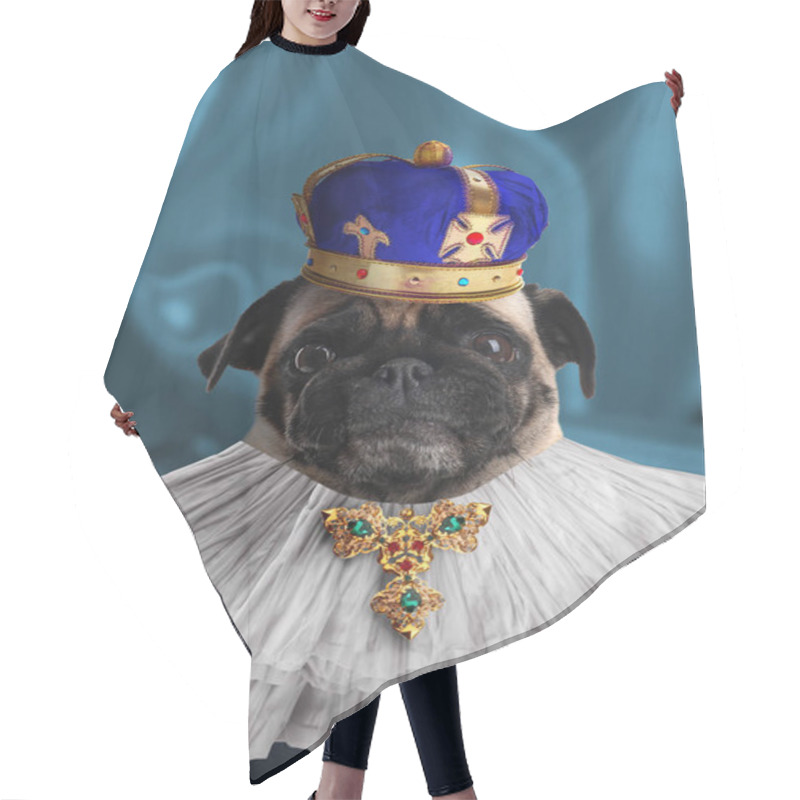 Personality  Pug Dog Dressed Like Royal Person Against Blue Background Hair Cutting Cape