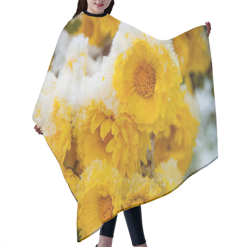 Personality  Yellow Chrysanthemums Covered With Wet Snow Hair Cutting Cape