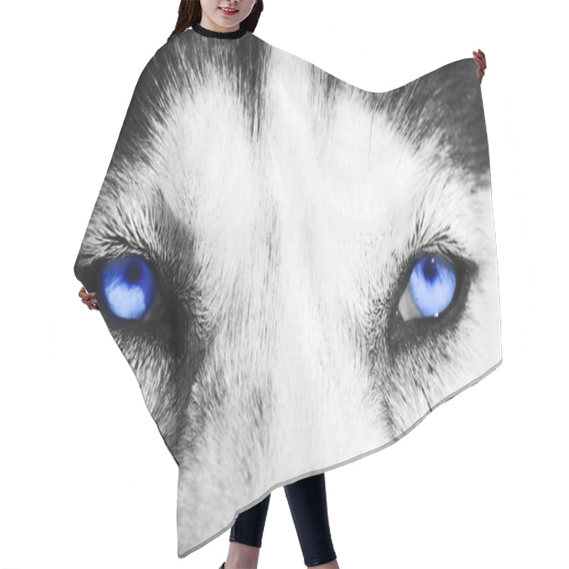 Personality  Blue Eyes Hair Cutting Cape