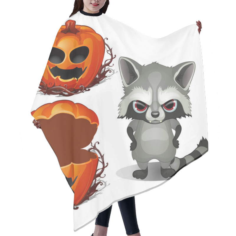 Personality  Serious Evil Raccoon And Halloween Scary Pumpkin Face. Vector Illustration In Cartoon Style Isolated On A White Background Hair Cutting Cape