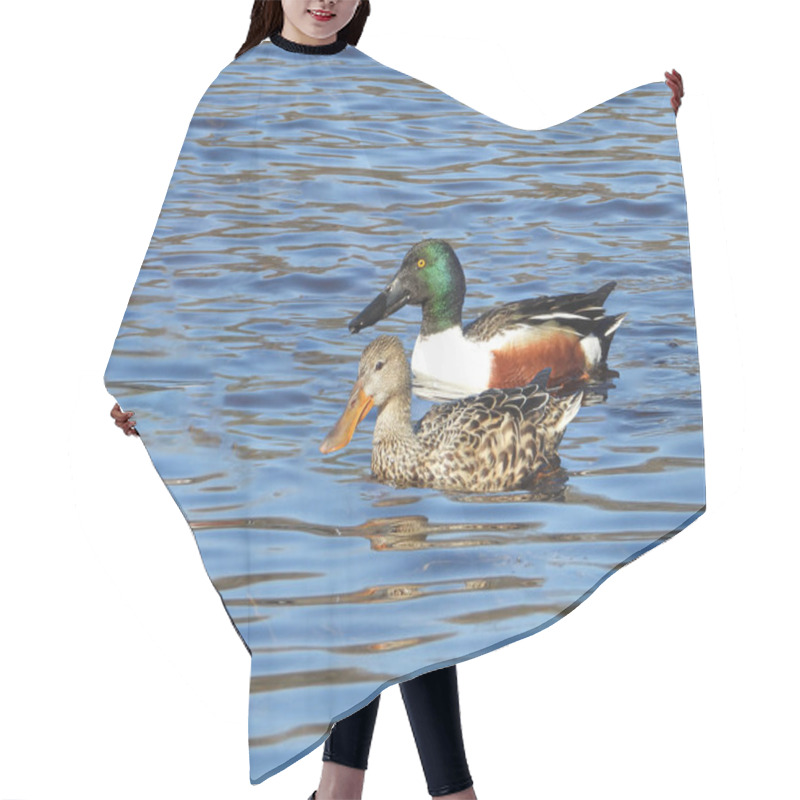 Personality  Northern Shoveler (Spatula Clypeata) North American Waterfowl Duck Bird Hair Cutting Cape