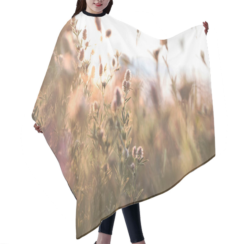 Personality  Morning Meadow. Abstract Natural Background. Fresh Spring Grass With Drops On Natural Defocused Light Background. Retro Filtered. Hair Cutting Cape