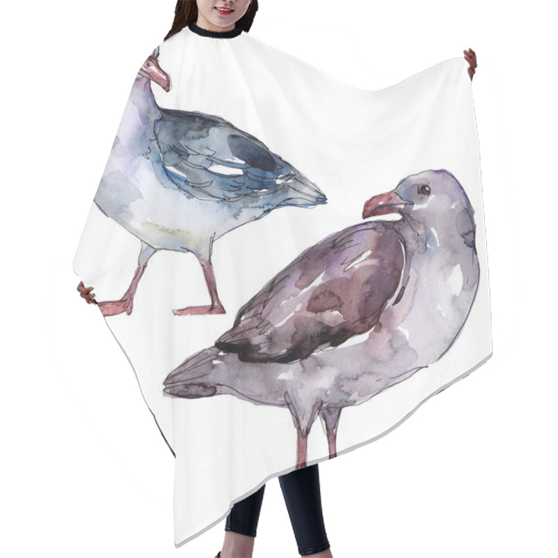 Personality  Sky Bird Seagull In A Wildlife. Wild Freedom, Bird With A Flying Wings. Watercolor Background Illustration Set. Watercolour Drawing Fashion Aquarelle. Isolated Gull Illustration Element. Hair Cutting Cape