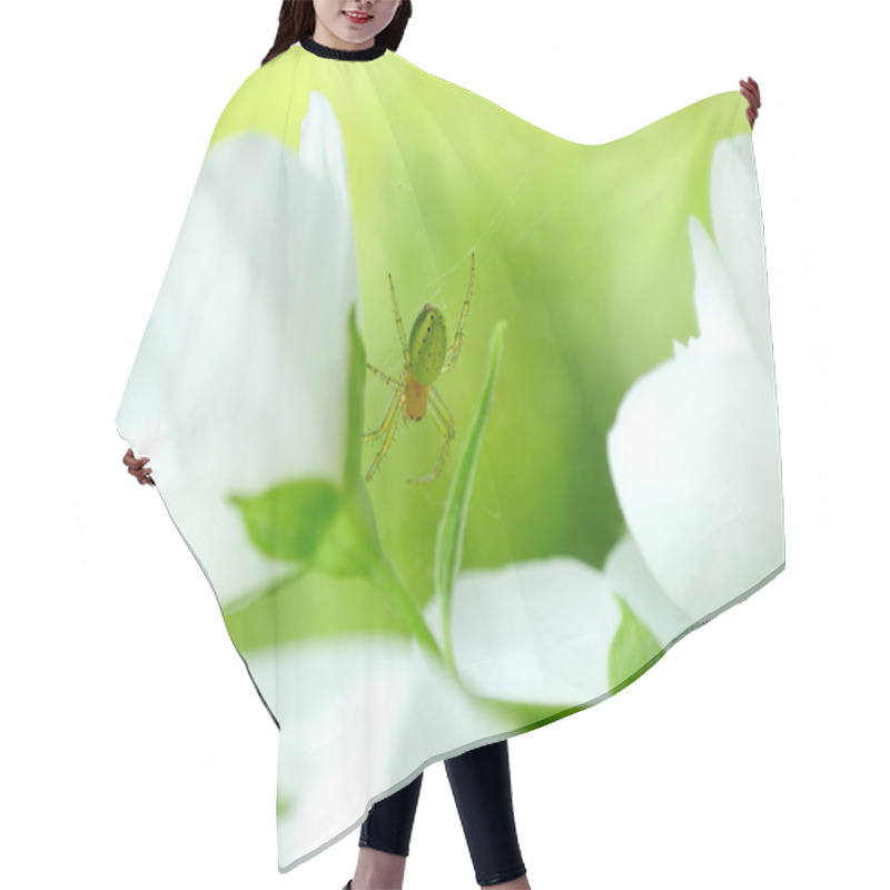 Personality  Green Spider On Jasmine Flowers Hair Cutting Cape