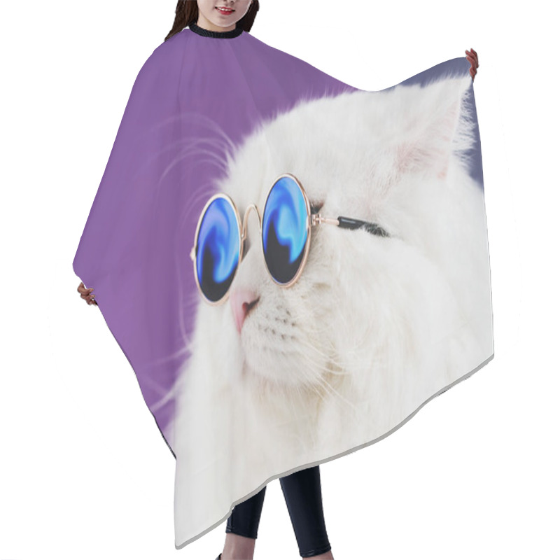 Personality  Close Portrait Of White Furry Cat In Fashion Sunglasses. Studio Photo. Luxurious Domestic Kitty In Glasses Poses On Purple Background Wall Hair Cutting Cape