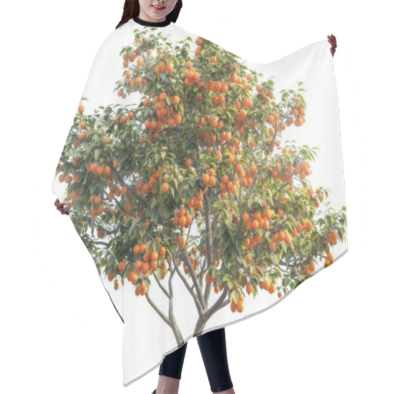 Personality  A Vibrant Orange Tree Laden With Ripe Fruits, Showcasing A Bountiful Harvest Against A Bright White Background. Hair Cutting Cape