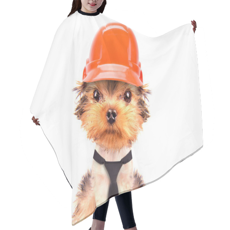 Personality  Dog  Dressed As Builder Hair Cutting Cape