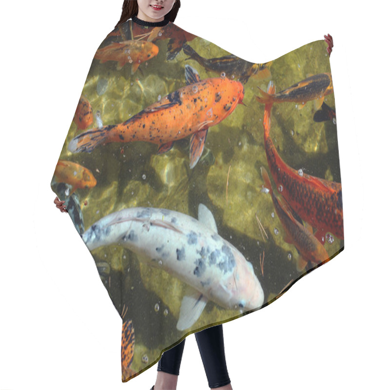 Personality  Japanese Koi Hair Cutting Cape