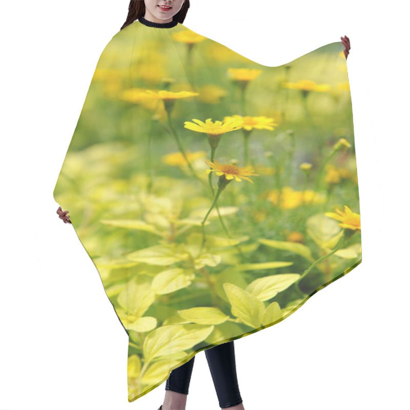 Personality  Yellow Daisies Hair Cutting Cape