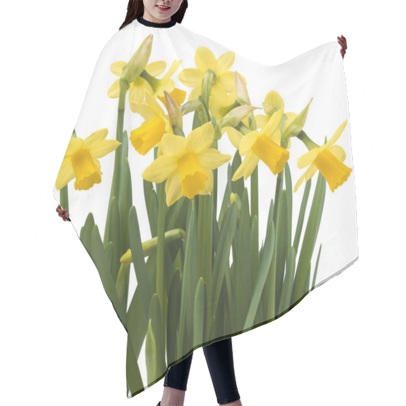 Personality  Daffodil Narcissus Flowers Hair Cutting Cape