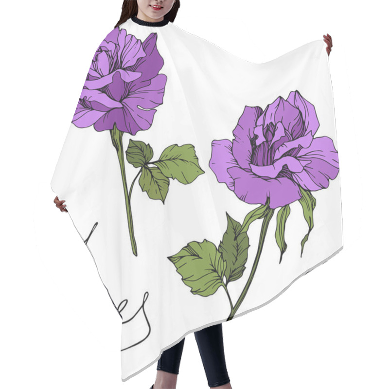 Personality  Vector. Beautiful Purple Rose Flowers With Green Leaves Isolated On White Background. Engraved Ink Art. Hair Cutting Cape