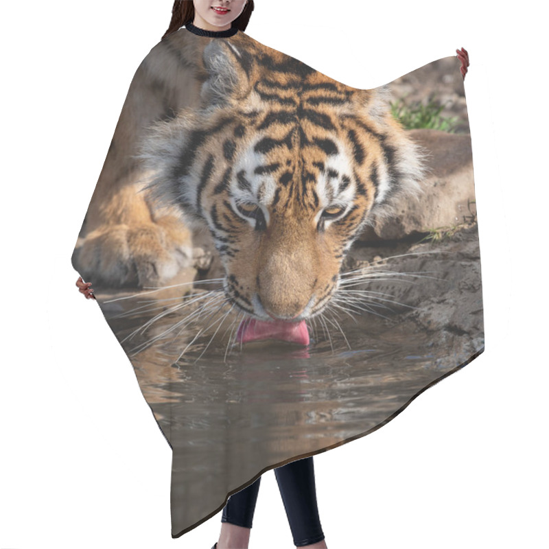 Personality  Tiger Male Drinking Water Hair Cutting Cape