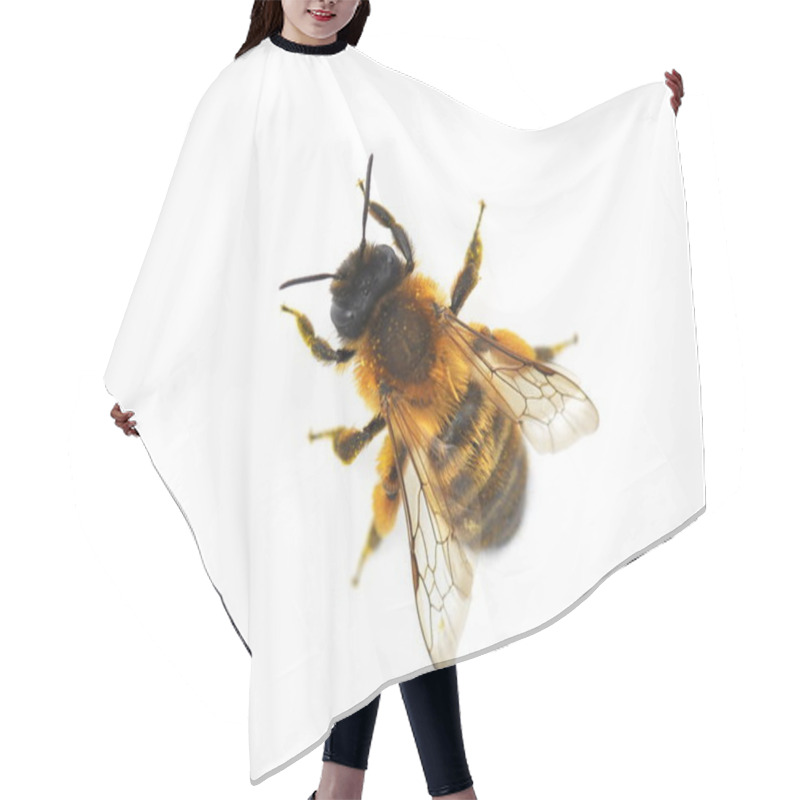 Personality  Red Brick Wall Osmia Ruffle On White Background  Hair Cutting Cape