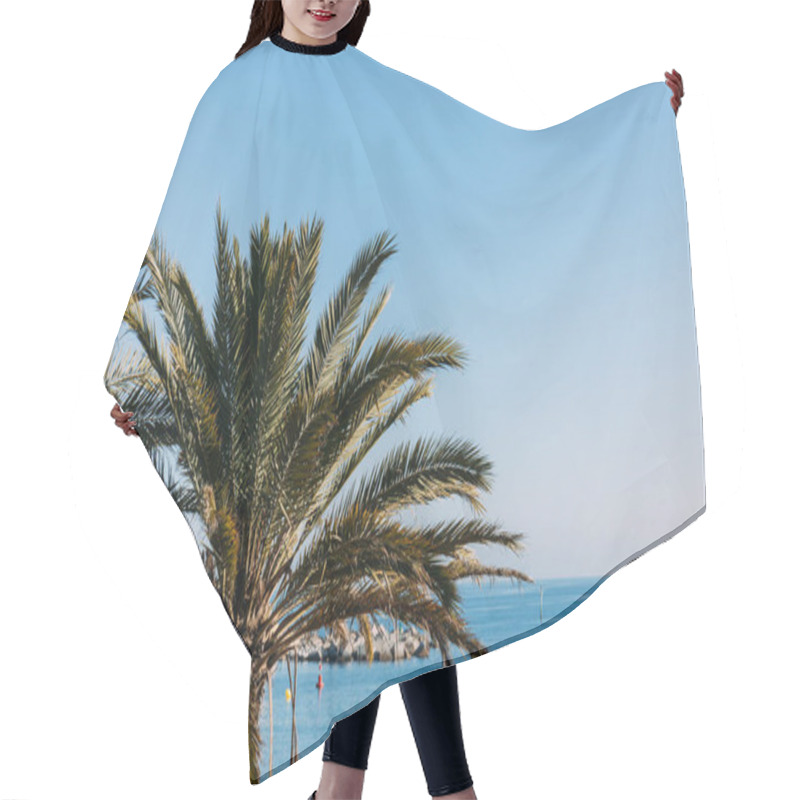 Personality  Scenic View Of Lush Palm Tree And Blue Sea, Barcelona, Spain Hair Cutting Cape