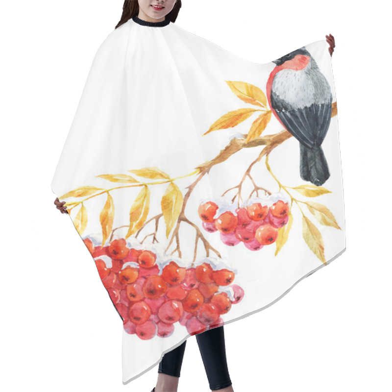 Personality  Bullfinch And Ashberry Hair Cutting Cape